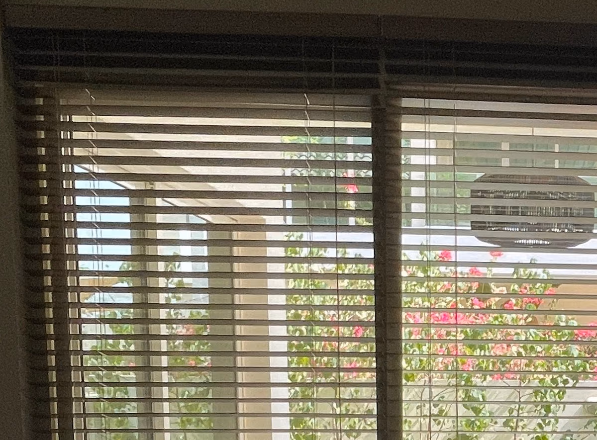 Close view of dark faux wood slats tilted part open on their cords below the headrail, pink bougainvillea and a terrace showing between the slats